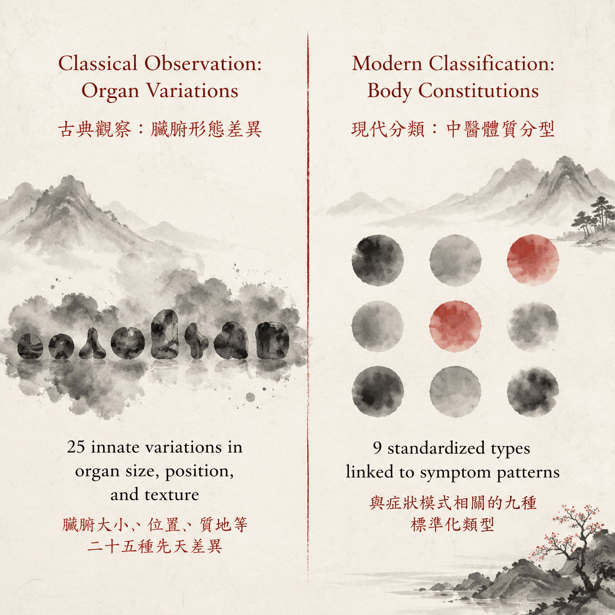 An infographic comparing the classical concept of 25 organ variations with the modern 9 body constitutions, separated by a non-equivalence boundary.